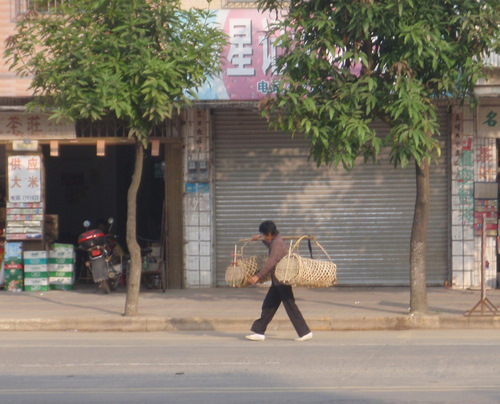 Man bringing live animals to the market.